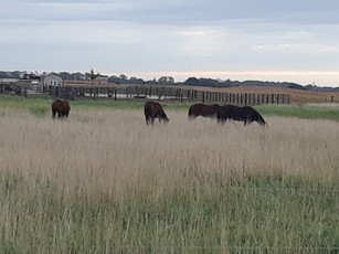 20180928_091909.jpg