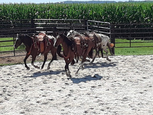 20180629_113537.jpg