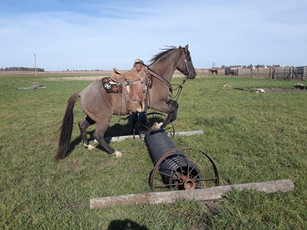 20171110_114226.jpg
