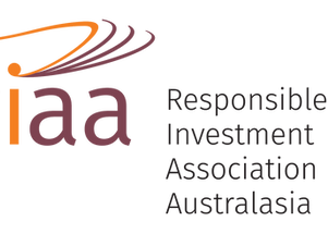 RIAA names Salt as Responsible Investment Leader
