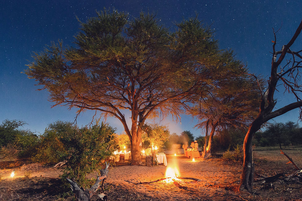 Leroo-La-Tau-Bush-Dinner