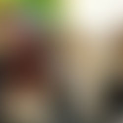 Palestra de Audiovisual incompany