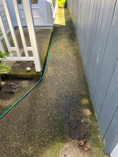 A dirty concrete path prior to cleaning.