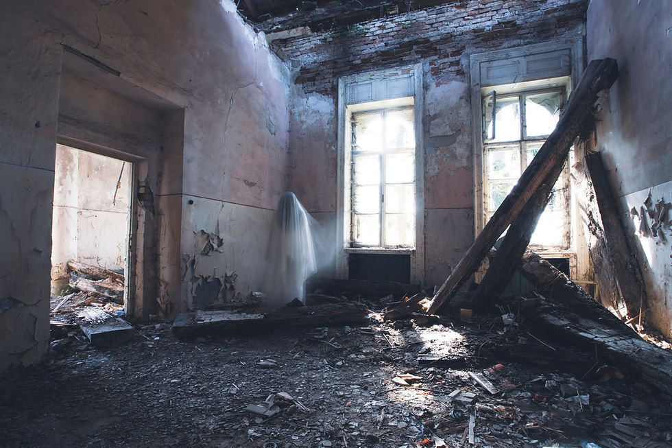 Florin Trial Law - Fir Damage.jpg