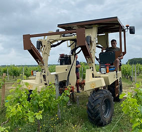 Le Château le Tertre de Caussan, vignoble familial de 20ha dans Médoc, agriculture biologique