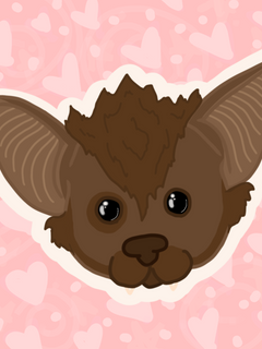 IMG_0307.PNG