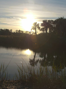 cc2a1421229177.57c0ce9b3656b.jpg