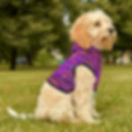 Miniature : Dog Hoodie in Psytrance Print - Sleeveless All-Season - Purple Magic Mushrooms