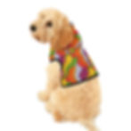 Miniature : Dog Hoodie in Rainbow Psychedelic Print - Sleeveless All-Season - Pride Pup