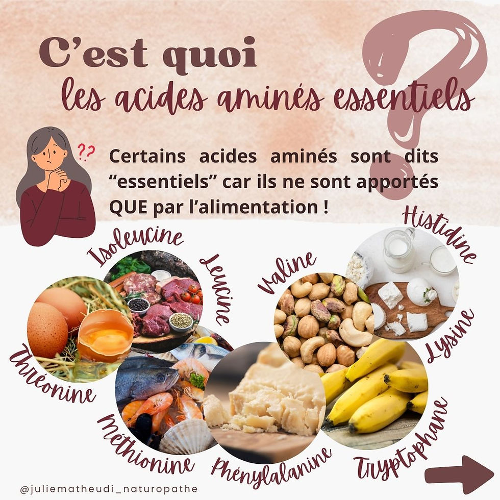 Protéines Quels aliments choisir — free download