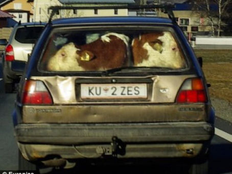 PERMIS DE CONDUIRE??