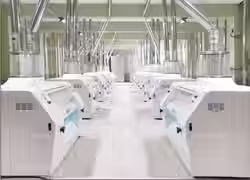 HDF 500T-1500T Flour Milling Machine