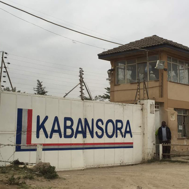 Top maize wheat flour mill in Kenya