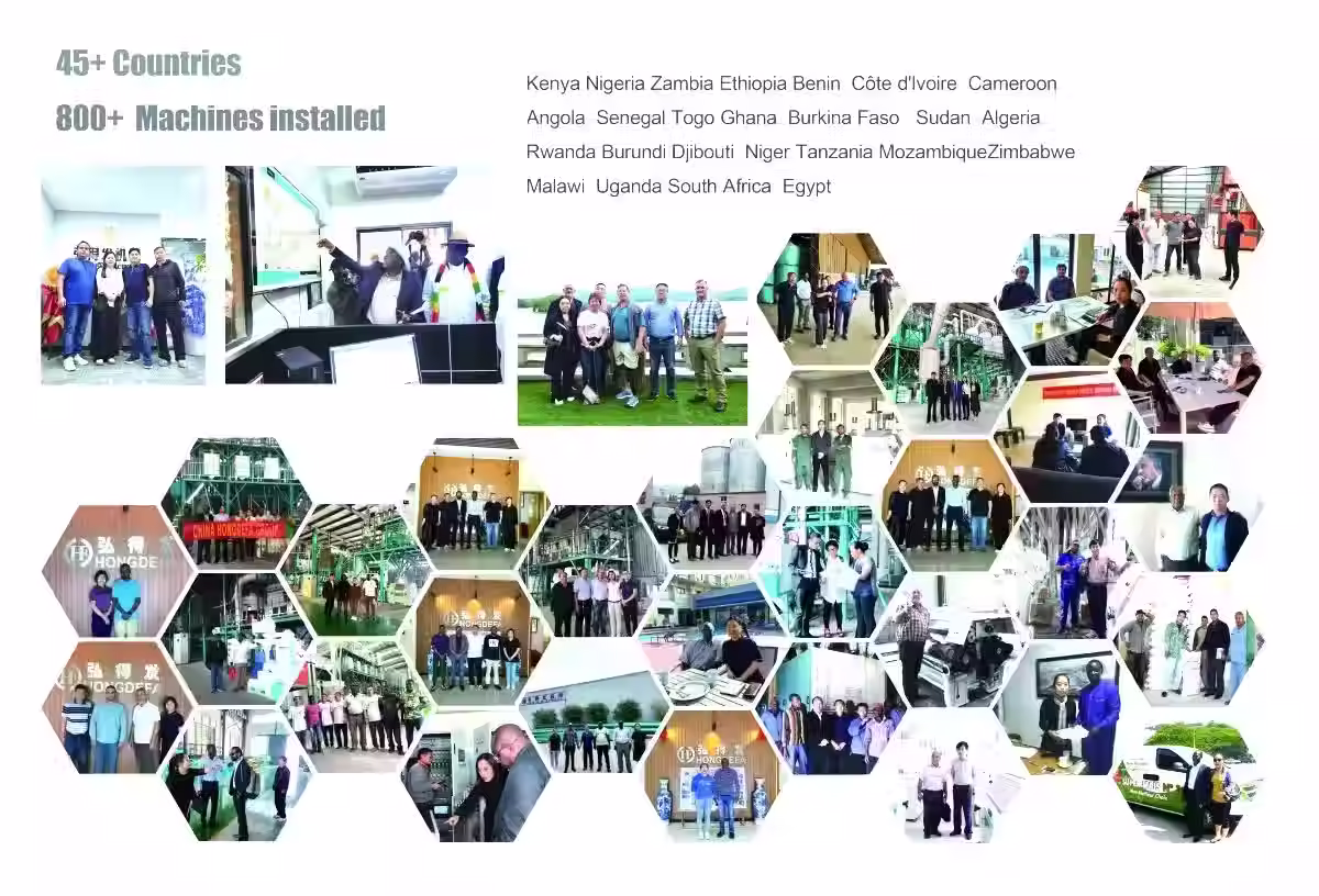Hongdefa flour milling projects in different countries.avif