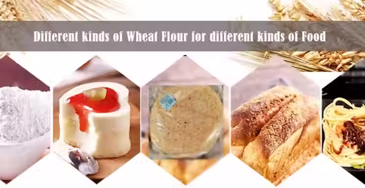 final product of our wheat flour milling machine.avif