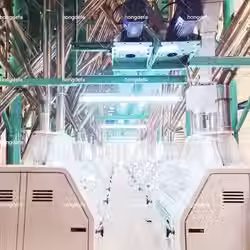 Roller Mill in the 200t wheat flour milling machine