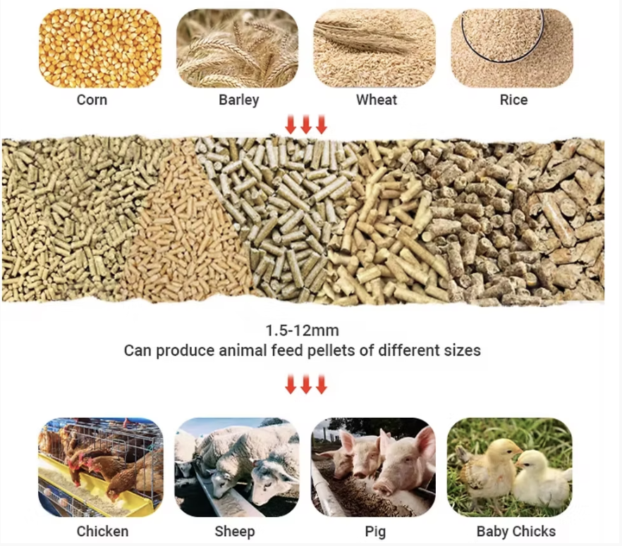 Cow Feed vs Chicken Feed: Why You Cannot Use the Same Machine Settings
