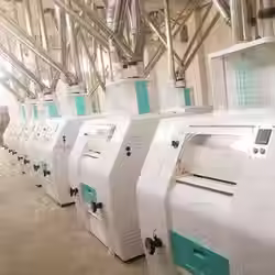 100t wheat flour mills