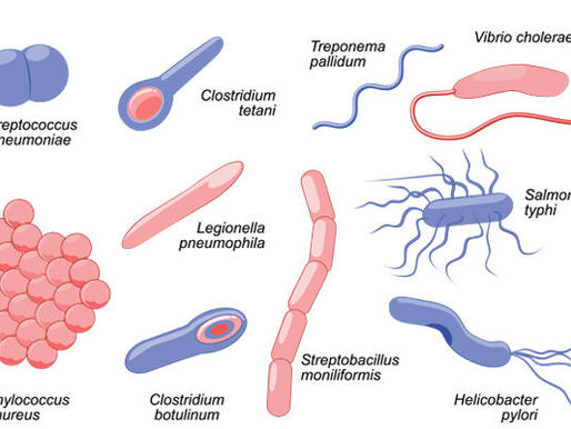 How Clean Is Your Gym?