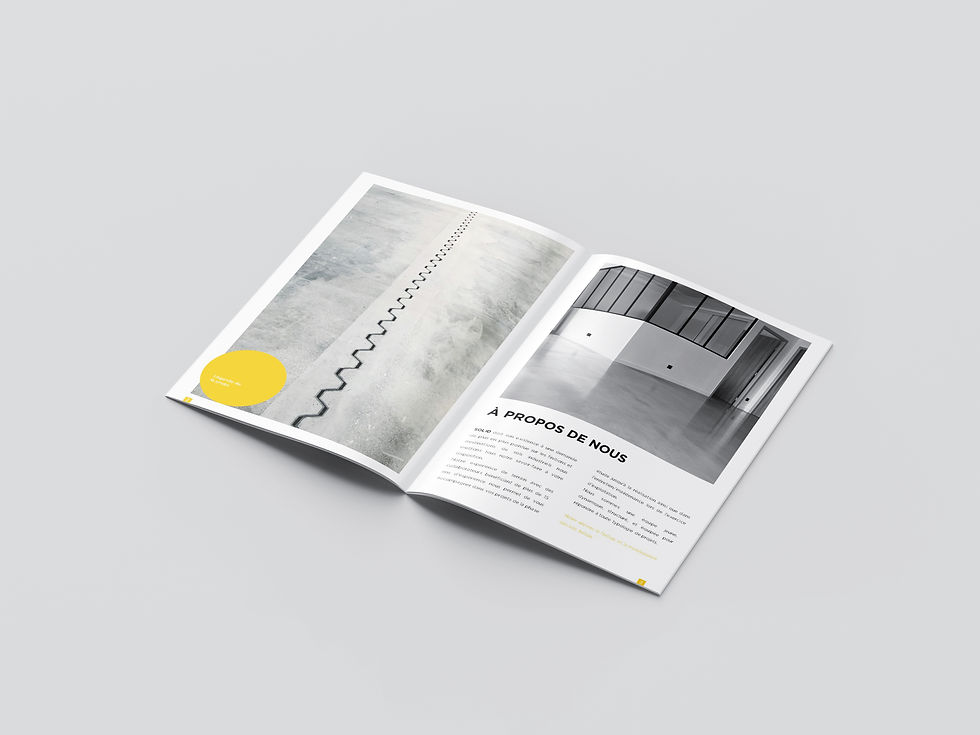 graphisme sliide mock-up livre