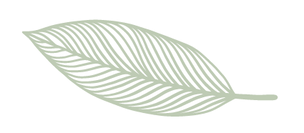 Feuille Macaque Cocktail
