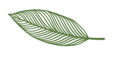 Feuille Macaque Cocktail