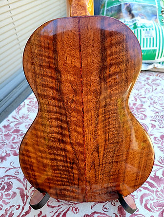Uke 79 - Back Close.jpg