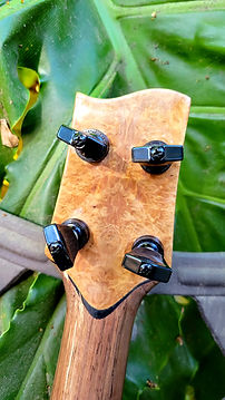 Uke 20 - Back Strap.jpg