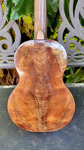 Uke 20 - Back Close.jpg