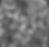 Monochrome Cricles.png