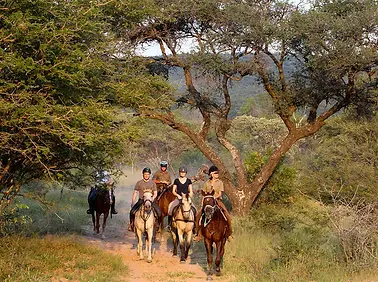 horse-riding-south-africa-waterberg-antshill.jpg.webp
