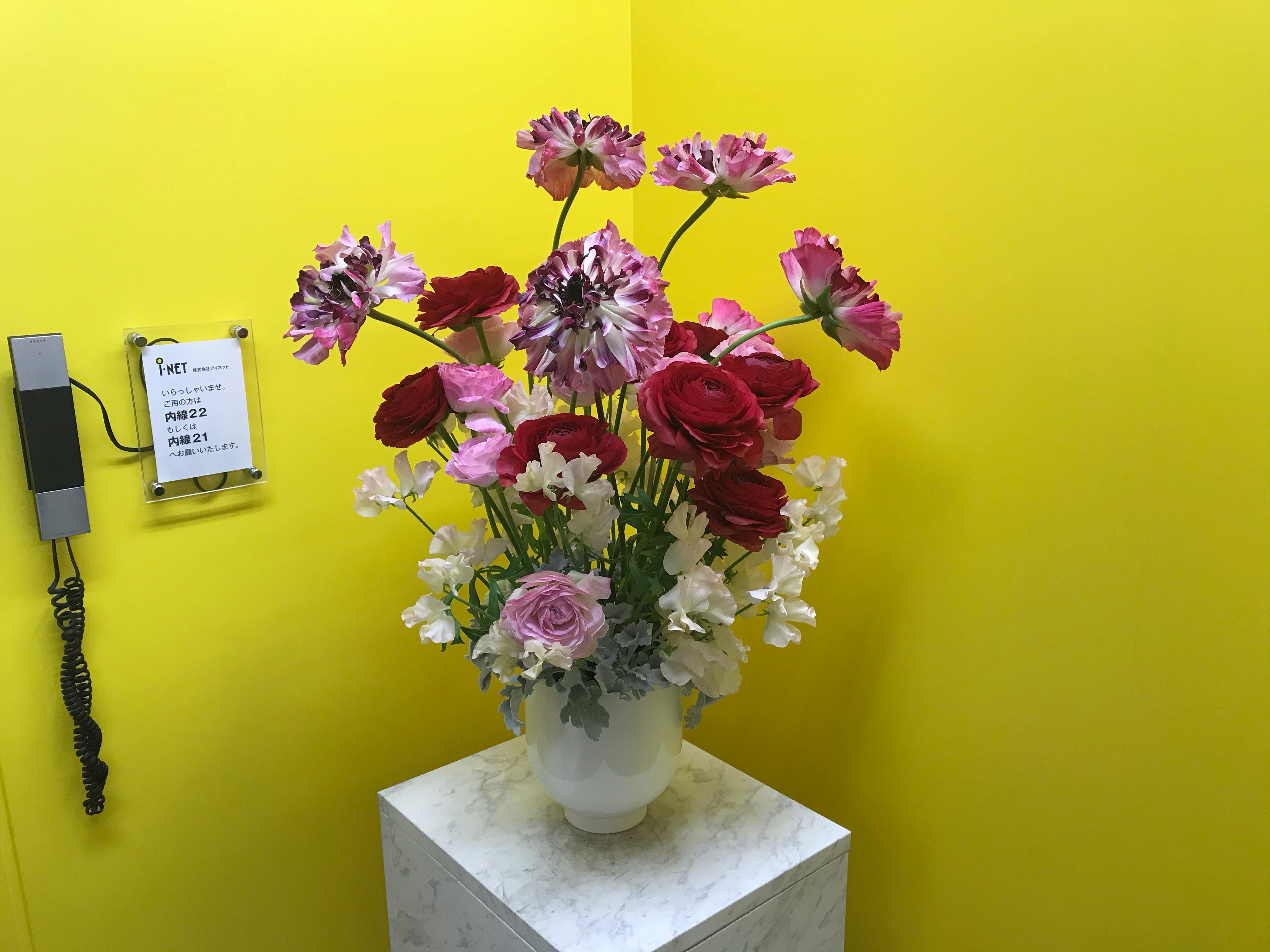 株式会社アイネットに飾っているお花情報を毎週お送りします