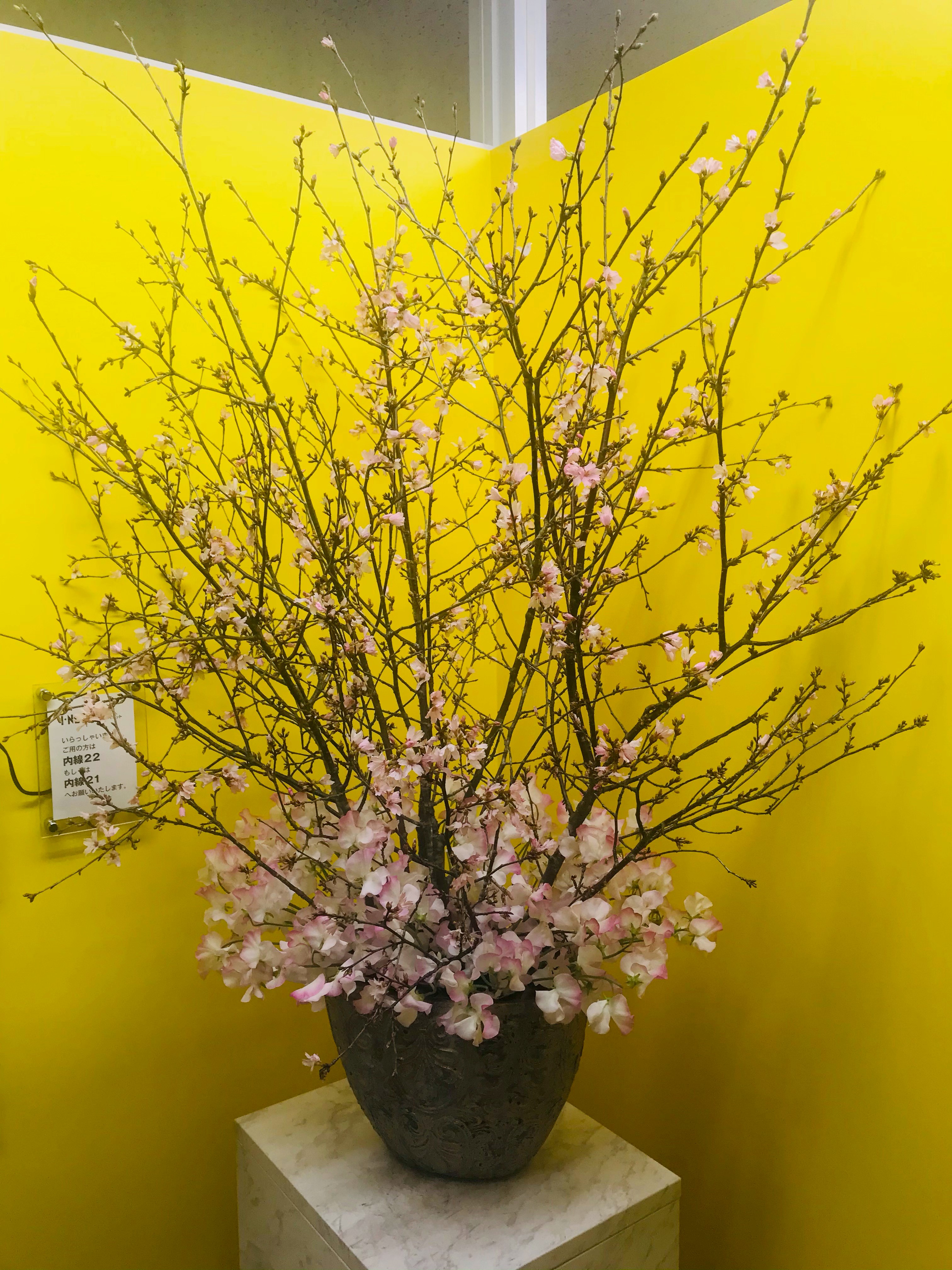 株式会社アイネットに飾っているお花情報を毎週お送りします