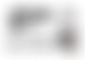 Žehnání obecních symbolů Přibyslavi