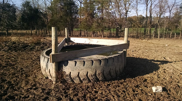 2014-11-03 15.22.11.jpg