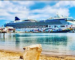 https://www.cruisemapper.com/ships/Norwegian-Star-706