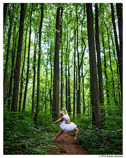 Estate Serenity Imagery
