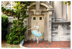 Estate Serenity Imagery