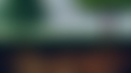 Restoring the Urban/Suburban forests