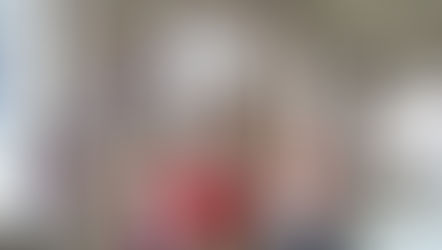 Comparecencia ante la Comisión de Cultura, Euskera, Juventud y Deporte en el Parlamento Vasco