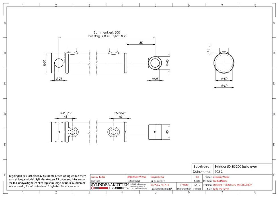 Miniatyrbilde: Sylinder 50-30-300 med fast øye