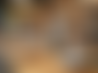 Expert Tips for Successful Catalogue Publishing on GeM