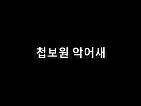 첩보원 악어새