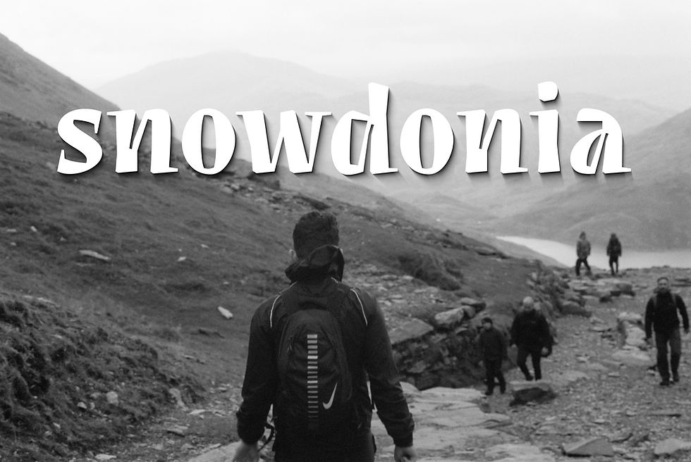 Project Snowdonia