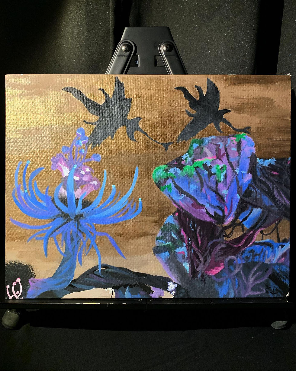 69114797_2306453613001618_8065372415710504422_n