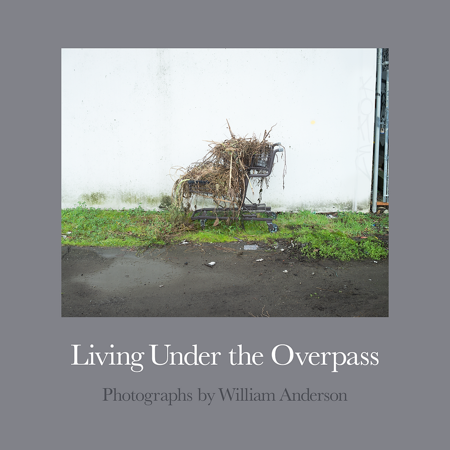 Unders the Overpass CVR.png