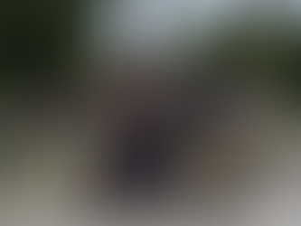 Gorillas & Lemurs & Mandrills, Oh My!