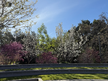 Spring of Sustainability at West Valley: Students’ Seeds of Climate Action Have Begun to Sprout