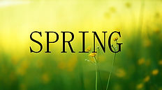 Spring.jpeg