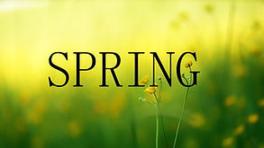 Spring.jpeg